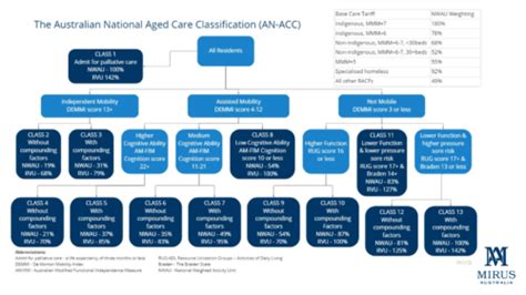 The Australian National Aged Care Classification .